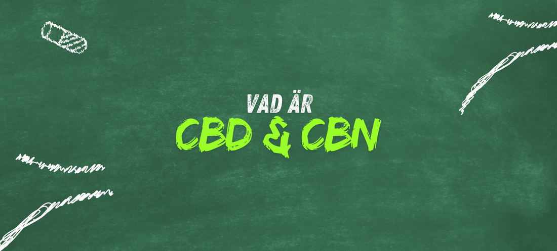 Vad är CBD & CBN?