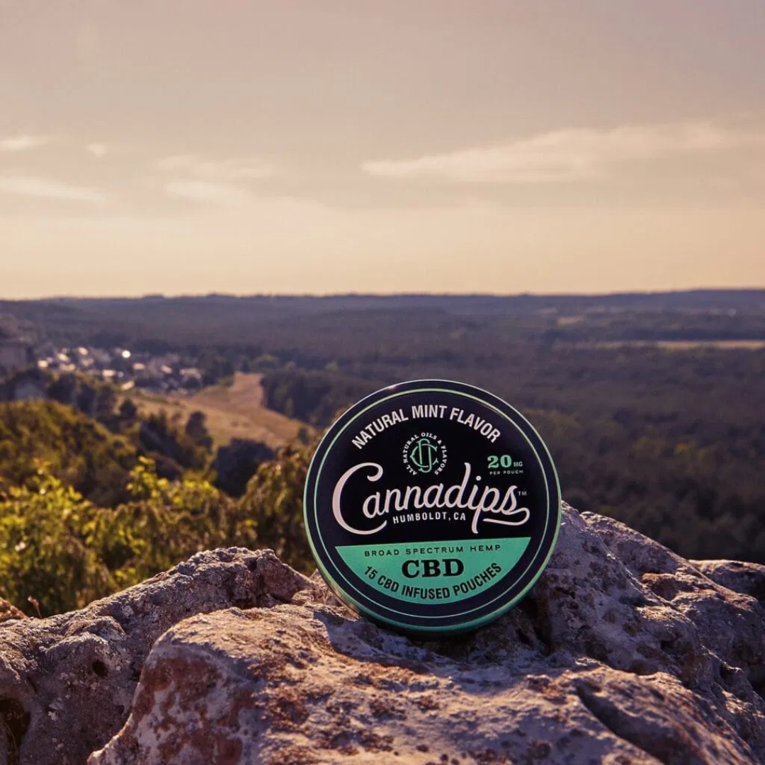 CBD Snus